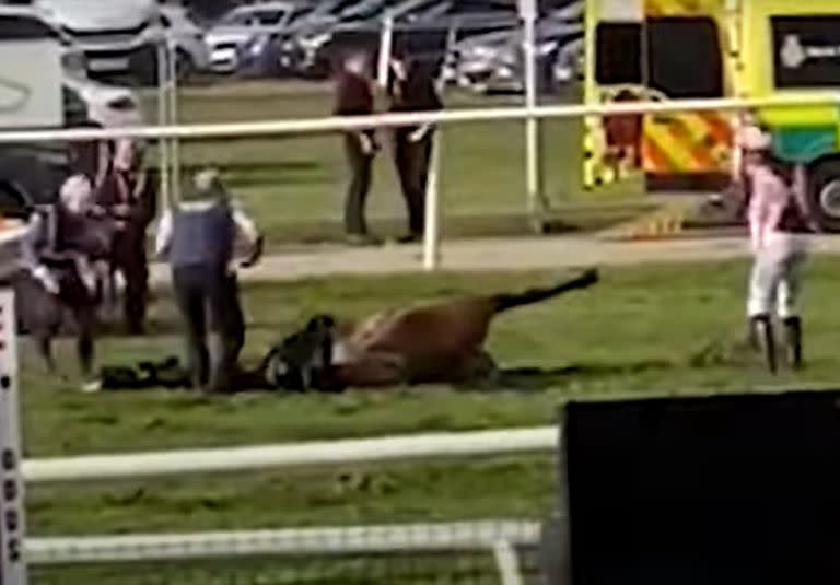 Un caballo tendido en el césped después de caer en el primer obstáculo en el Grand National de turf