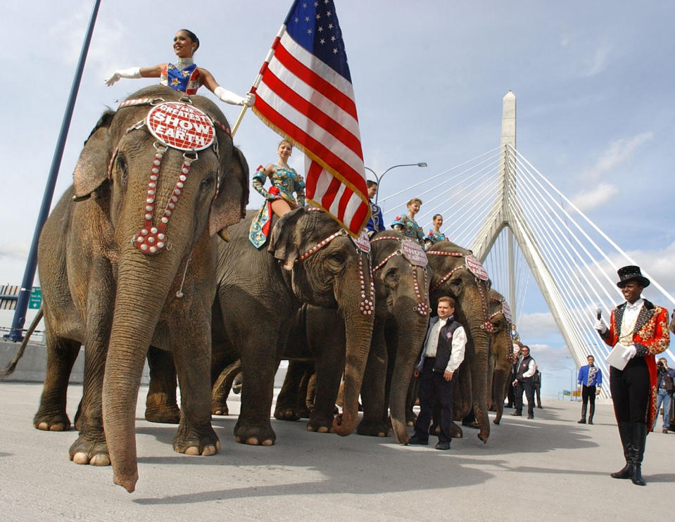 <p>Danielle Guimaraes of Brazil, left, poses on one a Ringling Bros. and Barnum & Bailey Circus elephant on the Leonard P. Zakim Bunker Hill Bridge in Boston, Tuesday, Oct. 15, 2002. Ringmaster Johnathan Lee Iverson, right, led the elephants across the bridge. The circus is performing at Boston’s FleetCenter through Oct. 20. (AP Photo/Lisa Poole) </p>