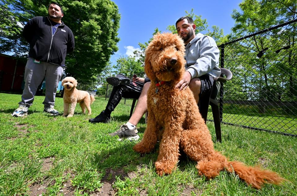 Hoselito "Oli" Rapi of Worcester enjoys Beaver Brook Park with his dog, Bella, and Pano Celo and his dog, Leo, left.