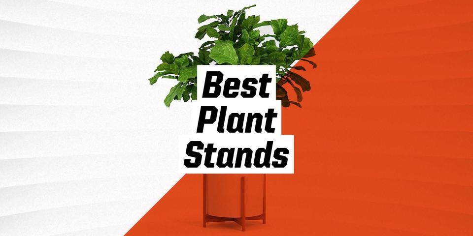 The Most Stylish Plant Stands for Your Home