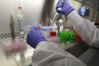 In this Wednesday, Jan. 15, 2020, photo, scientist and study director Jennifer Molignano pipettes a sample of commercially available skin care product onto the surface of living human skin tissues while demonstrating an experiment created to evaluate the effects of exposing the product to skin tissues, at a MatTek Corporation lab, in Ashland, Mass. MatTek is a tissue engineering company that performs non-animal testing on cosmetics, skin care products and pharmaceuticals. (AP Photo/Steven Senne)