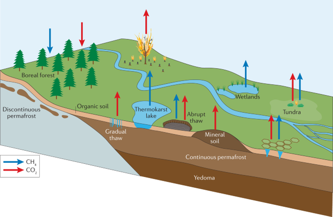 Dinâmica do derretimento do permafrost e a liberação de metano e CO2 (Imagem: Reprodução/Kimberley Miner et al.)