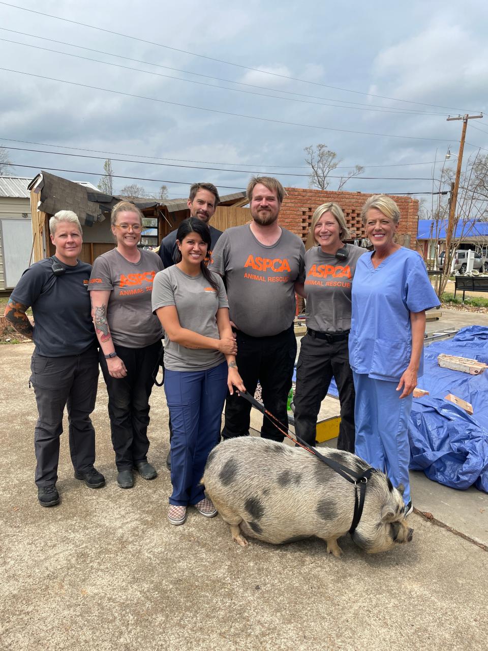 The ASPCA team and Sandra Koenig, right, pose with Oink the pig after her successful return to her owner in Amory, Mississippi.
