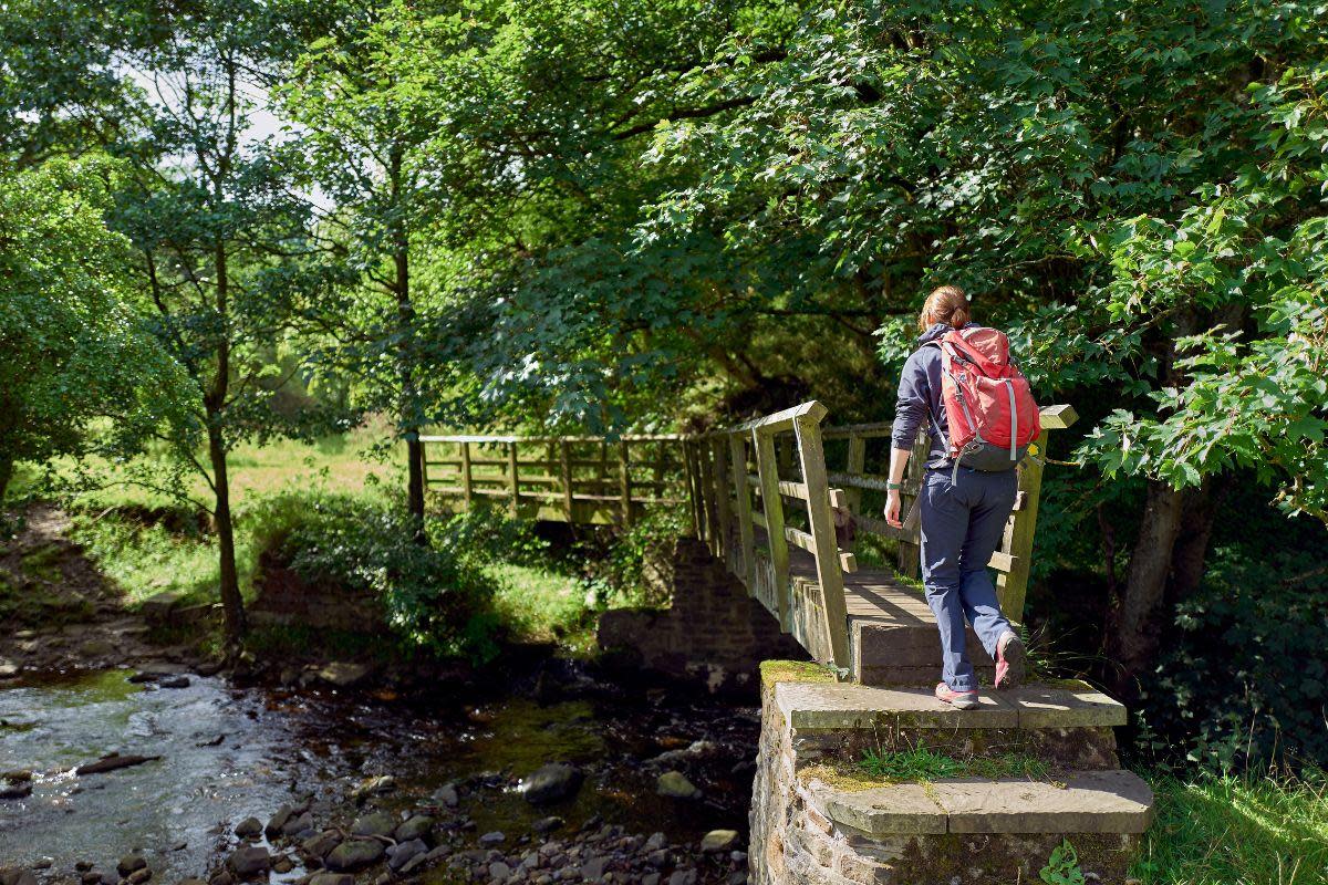 If you need some fresh air this weekend, take a look at these walking trails in County Durham to explore <i>(Image: PA MEDIA)</i>