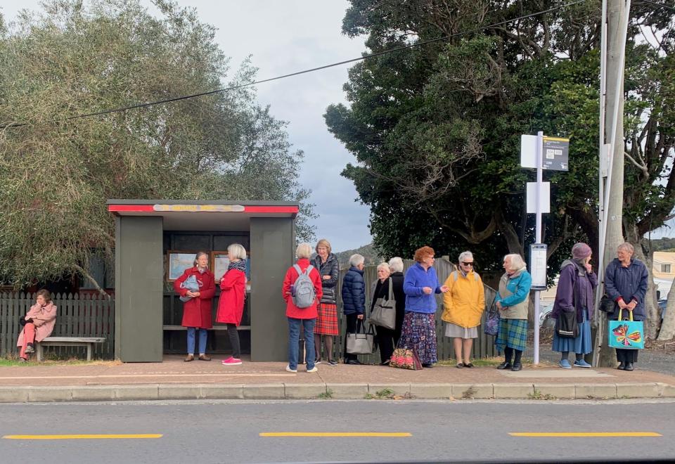 Elderly new zealand