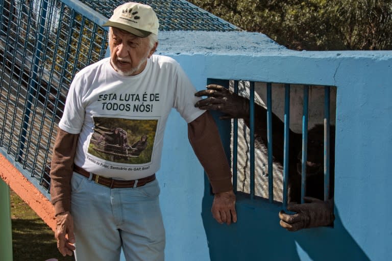 Pedro Ynterian, the director of the Great Apes Project (GAP), stands next to a chimpanzee at a sanctuary for apes in Sorocaba, some 100km west of Sao Paulo, Brazil