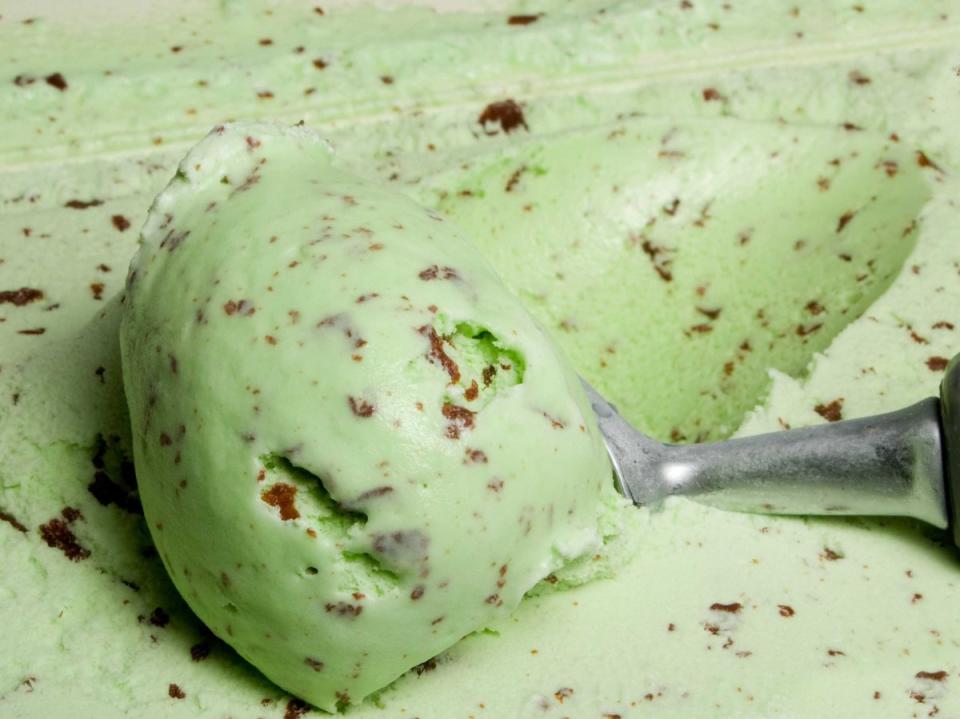 mint chocolate chip ice cream scoop