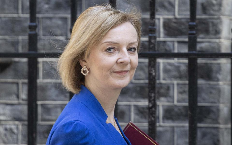 Liz Truss - Rasid Necati Aslim/Anadolu Agency/Getty Images 