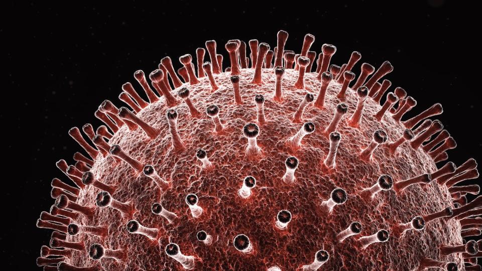 <span class="caption">Coronaviruses are a large family of viruses, ranging from the common cold to more severe diseases, including the novel coronavirus and SARS.</span> <span class="attribution"><a class="link " href="https://www.gettyimages.com/detail/photo/coronavirus-structure-royalty-free-image/1203695052?adppopup=true" rel="nofollow noopener" target="_blank" data-ylk="slk:Getty Images / xia yuan;elm:context_link;itc:0;sec:content-canvas">Getty Images / xia yuan</a></span>