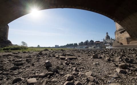 The banks of the river Elbe in Dresden, Germany, were seen running dry on Tuesday - Credit: DPA