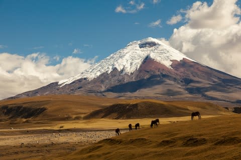 Cotopaxi National Park - Credit: getty