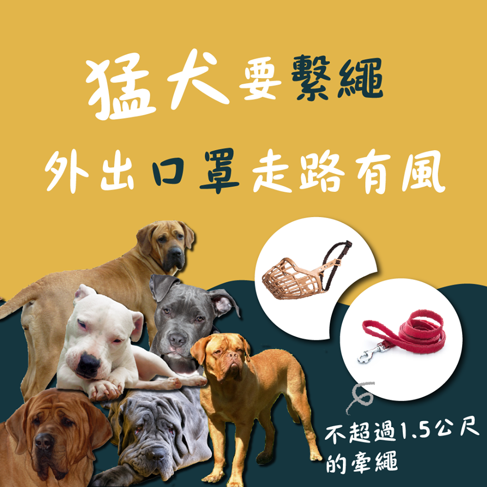 農委會呼籲，若民眾家裡有養猛犬，外出務必要繫繩，且要帶透氣口罩。   圖：行政院農業委員會/提供