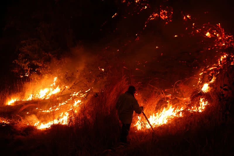 Wildfires in Chile