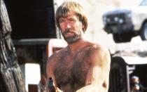"Chuck Norris ist so männlich, dass sogar seine Brusthaare Brusthaare haben." - Chuck Norris, ebenfalls ein Spezialist für Roundhouse-Kicks, ist eine echte Kultfigur. Im Bild: Norris in "McQuade, der Wolf", einem seiner haarigsten und populärsten Filme. (Bild: Fox)