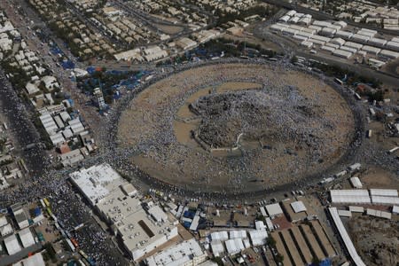 Muslim pilgrims gather on Mount Mercy on the plains of Arafat during the annual haj pilgrimage