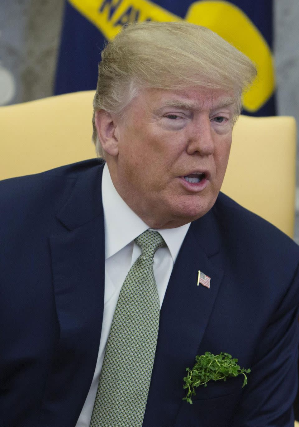 People took to question why it appeared Donald Trump was wearing watercress in his suit jacket. Source: Getty