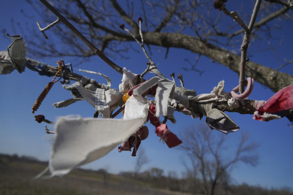 Strips of cloth and pouches of tobacco and sage, hung as offerings made by Indigenous people in prayer, blow in the wind at Pipestone National Monument on Tuesday, May 2, 2023, in Pipestone, Minn. (AP Photo/Jessie Wardarski)