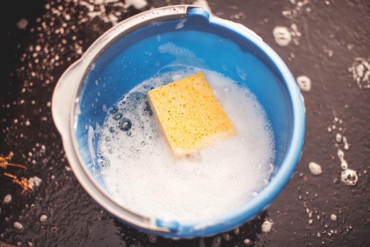 bucket of water with sponge