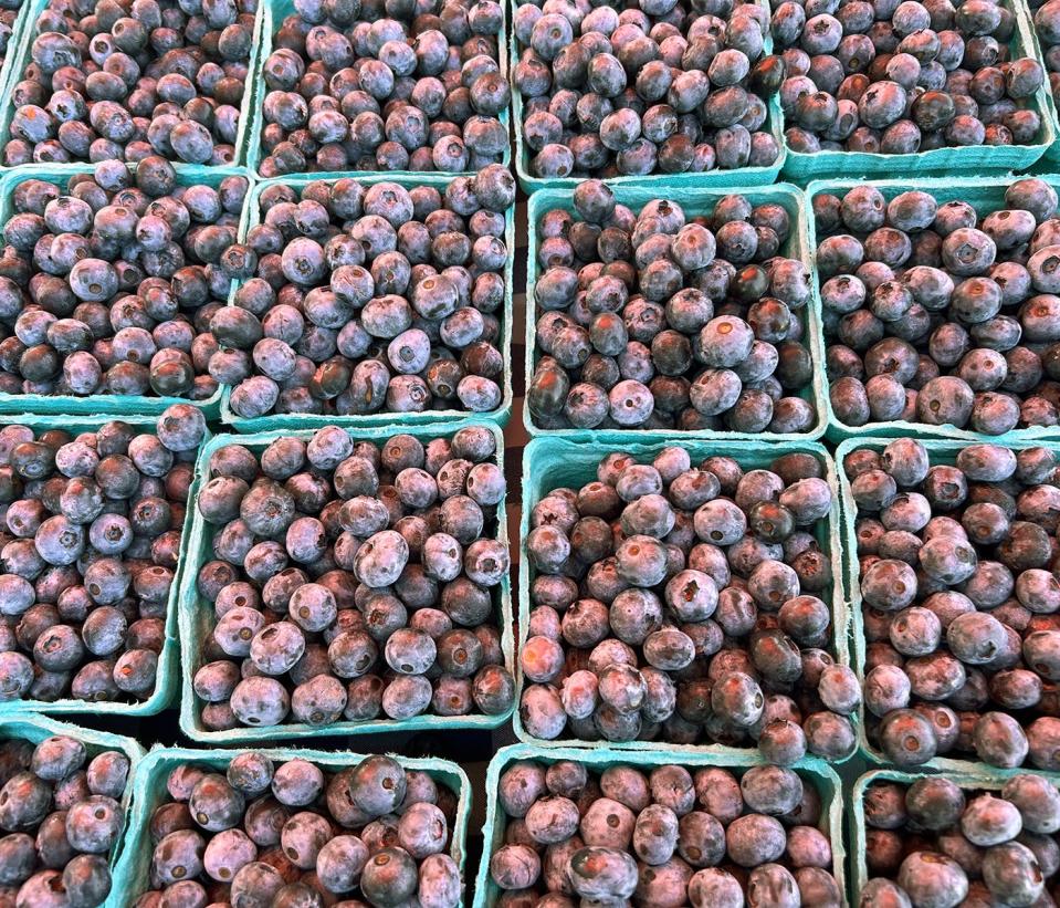 Scenes from the Historic Lewes Farmers Market.