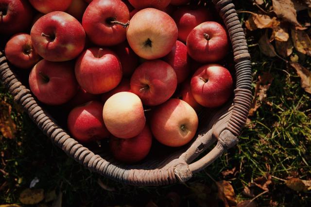 How to Pick the Best Apples