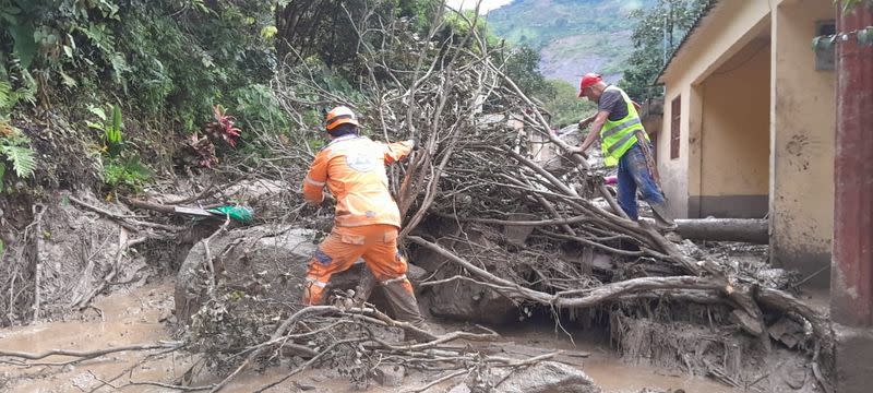 Socorristas retiran un árbol tras un deslizamiento de tierra que dejó varias víctimas en Quetame