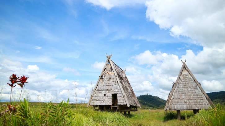 Rumah Tambi memiliki tampilan struktur yang sangat menarik. (Foto: PegiPegi)