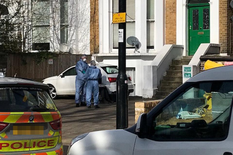<p>Forensic officers at the scene of an alleged murder in Ealing</p> (John Dunne/Evening Standard)