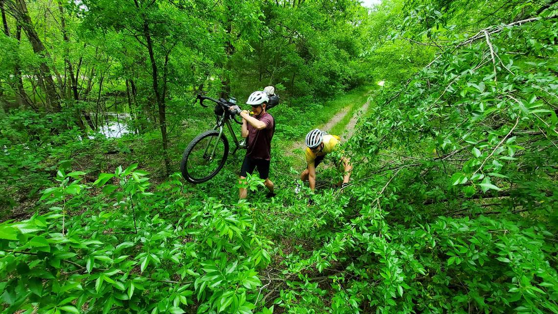 Tod Douglas and Paul Rust navigate around a fallen tree on the Northeast Texas Trail, between Celeste and Wolfe City, on a spring 2022 bicycle trip.