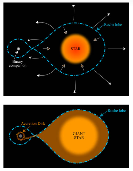 A diagram shows how a star swells to fill its Roche lobe and feed a companion star.