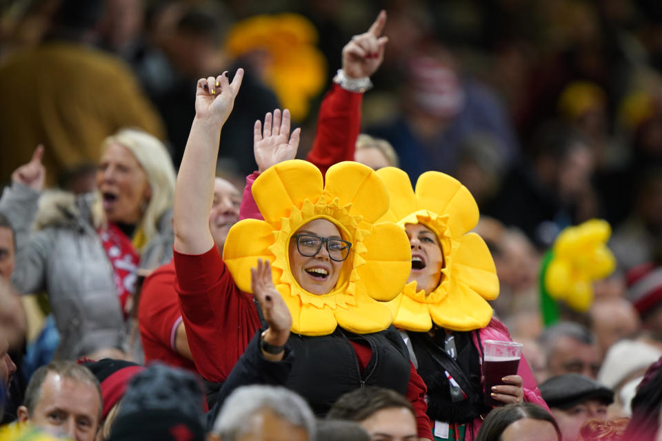 Wales rugby fans show their support during the Autumn International match at Principality Stadium, Cardiff