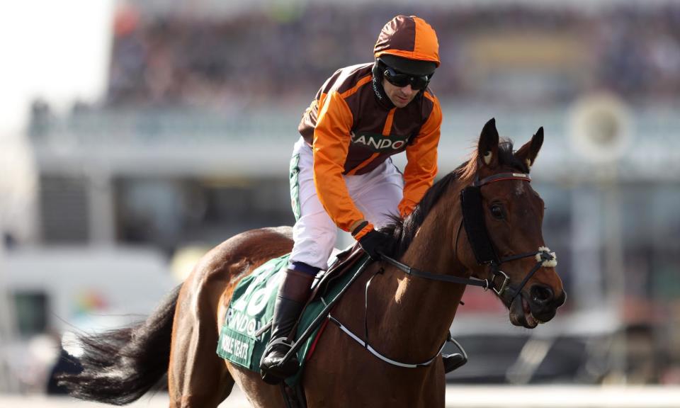 <span>The 2022 Grand National winner Noble Yeats is well placed to land the Stayers’ Hurdle.</span><span>Photograph: Paul Greenwood/Shutterstock</span>