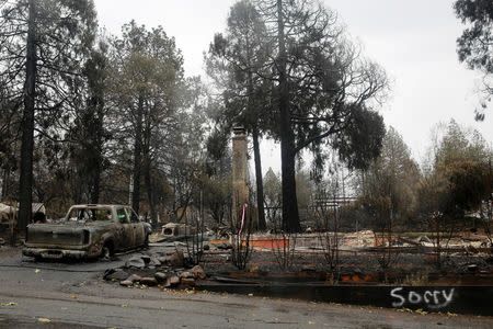 FILE PHOTO: The word "sorry" is spray painted on the edge of a property burned by the Camp Fire in Paradise, California, U.S. November 21, 2018. REUTERS/Elijah Nouvelage