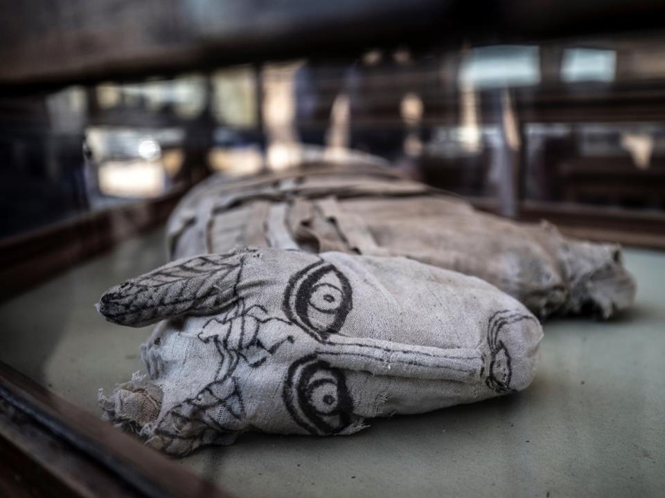 GettyImages lion cub mummy