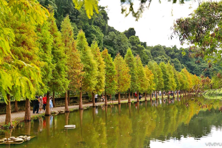 桃園大溪｜月眉人工濕地生態公園