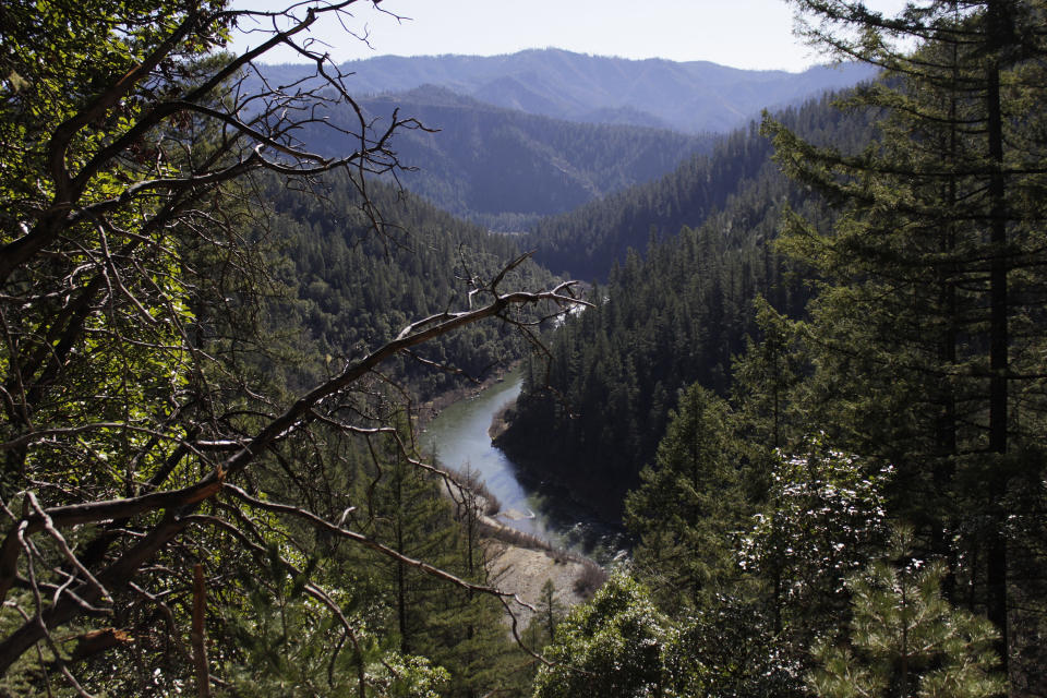 FILE - In this March 3, 2020, file photo, the Klamath River is seen flowing across northern California from atop Cade Mountain in the Klamath National Forest. California Gov. Gavin Newsom has appealed directly to investor Warren Buffet to support demolishing four hydroelectric dams on a river along the Oregon-California border to save salmon populations that have dwindled to almost nothing. Newsom on Wednesday, July 28, 2020, wrote Buffet, urging him to back the Klamath River project, which would be the largest dam removal in U.S. history. (AP Photo/Gillian Flaccus, File)