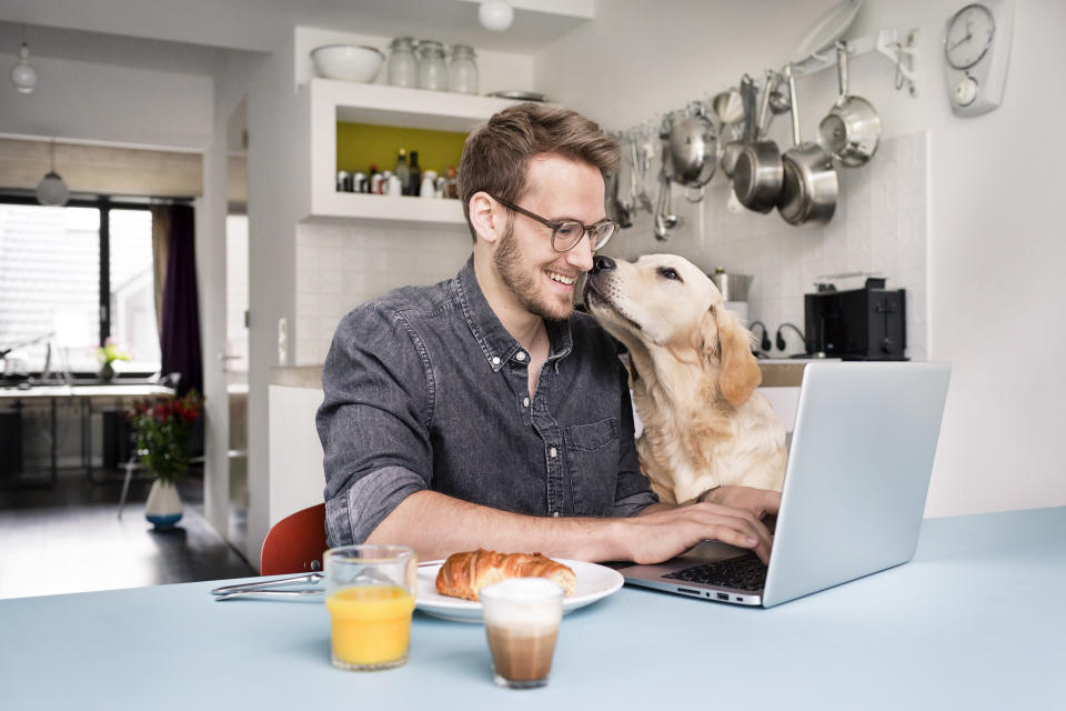 Man smiling and using laptop computer next to pet dog