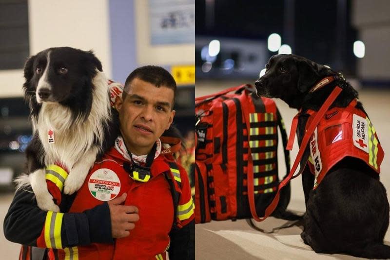 墨西哥的搜救隊員包括搜救犬日前出發前往土耳其。（翻攝自Marcelo Ebrard C. Twitter）