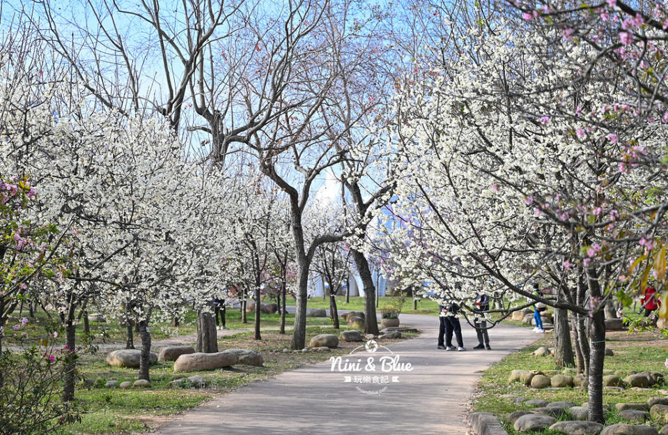 台中｜中科崴立櫻花公園