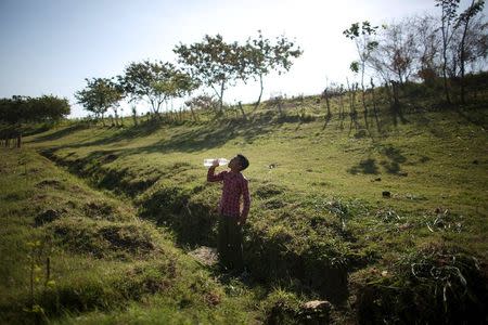 Farmer Lazaro Guerra, 14, sips water as he prepares the land to plant pumpkins near San Antonio de los Banos in Artemisa province, Cuba, April 12, 2016. REUTERS/Alexandre Meneghini