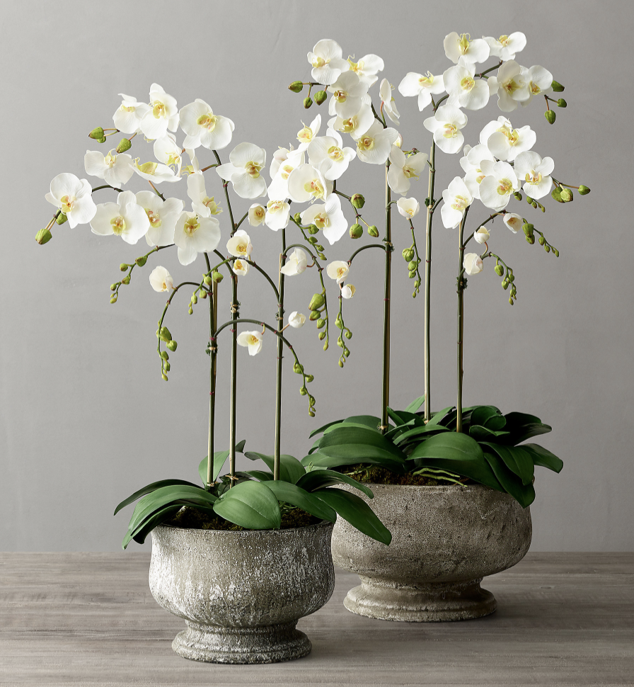 Faux Orchid Plant For Weathered Stone Tulip Pedestal Bowl - Small