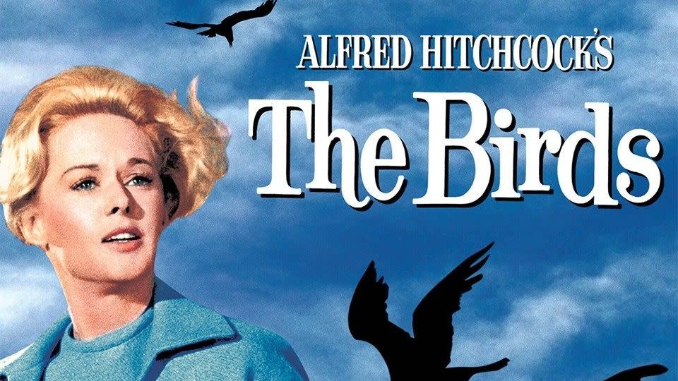 best alfred hitchcock movies the birds