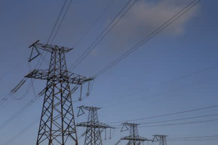 Power lines are seen near the Trypillian thermal power plant in Kiev region, Ukraine November 23, 2017. REUTERS/Valentyn Ogirenko