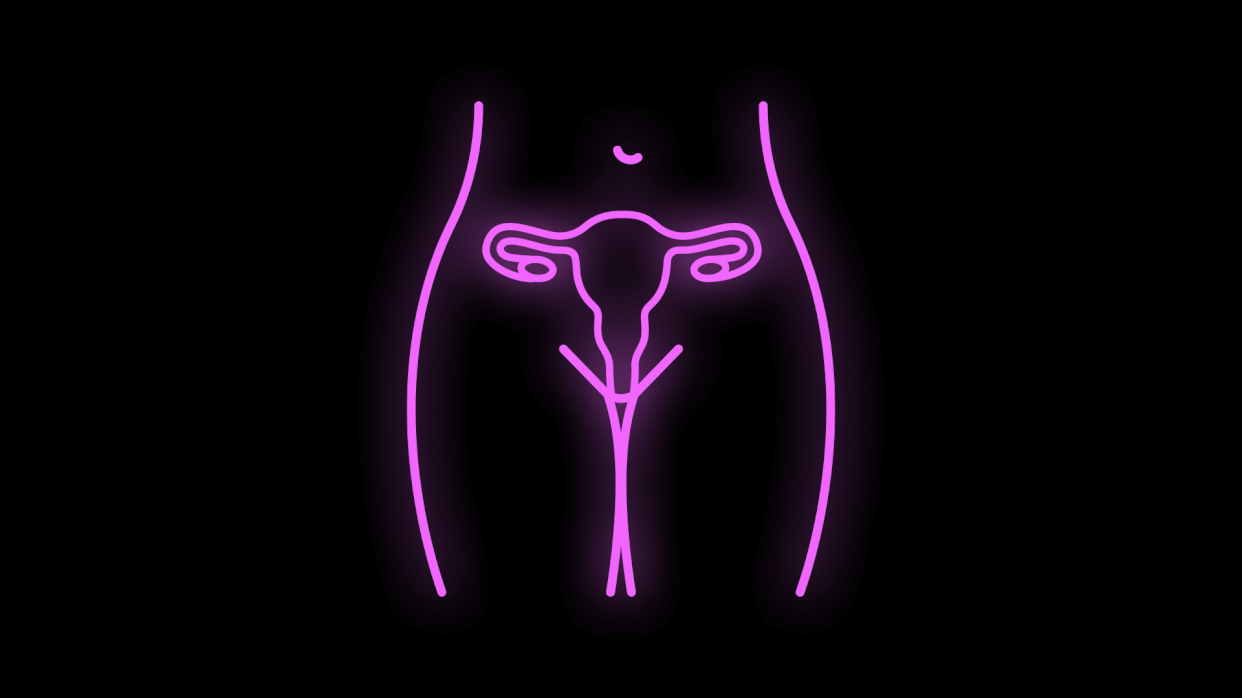 Illustration of a woman's reproductive organs (Illustration: Getty Images)