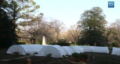 The 2010 White House winter garden, with plants growing snugly under hoops covered in plastic. (Photo: Whitehouse.gov)