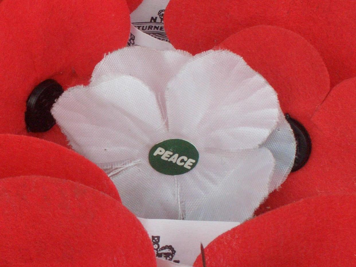 The White Poppy symbolises the belief that there are better ways to resolve conflicts and embodies values that reject killing fellow human beings for whatever reason (Nankai/Wikimedia Commons)