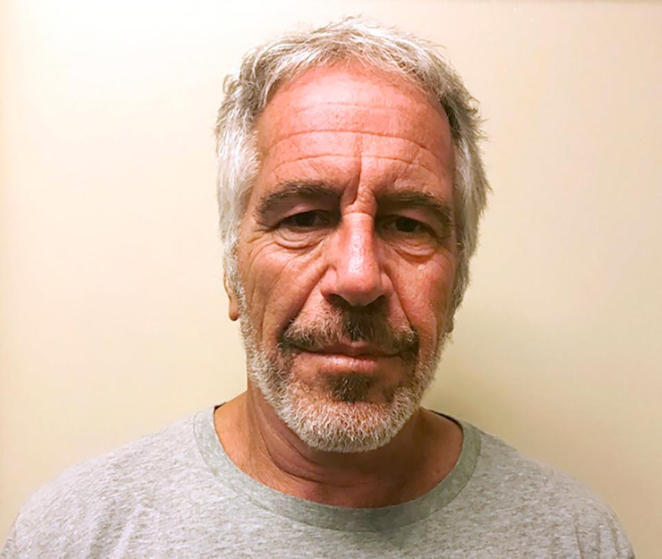 <p>File photo of Jeffrey Epstein provided by the New York State Sex Offender Registry in March 2017</p>AP