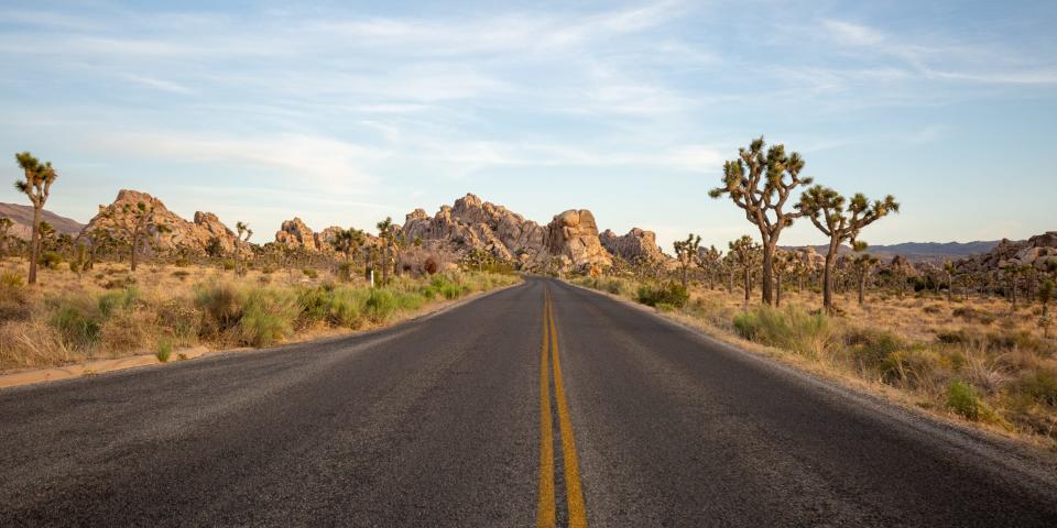 The road going through Joshua Tree National Park