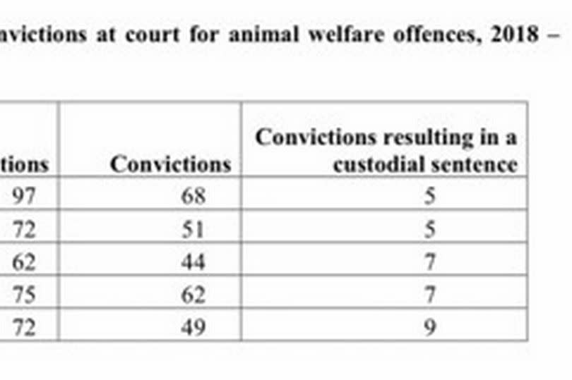 Just 33 people have been jailed for animal abuse in Northern Ireland in the five years to 2022