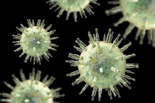 <span class="caption">By adulthood around 95% of people are infected with Epstein-Barr virus.</span> <span class="attribution"><a class="link " href="https://www.shutterstock.com/image-illustration/epsteinbarr-virus-ebv-herpes-which-causes-497941393" rel="nofollow noopener" target="_blank" data-ylk="slk:Kateryna Kon/ Shutterstock;elm:context_link;itc:0;sec:content-canvas">Kateryna Kon/ Shutterstock</a></span>