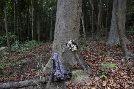 Clothes hang on trees near abandoned human trafficking camp in the jungle close the Thailand border at Bukit Wang Burma in northern Malaysia in this May 26, 2015 file photo. REUTERS/Damir Sagolj/Files